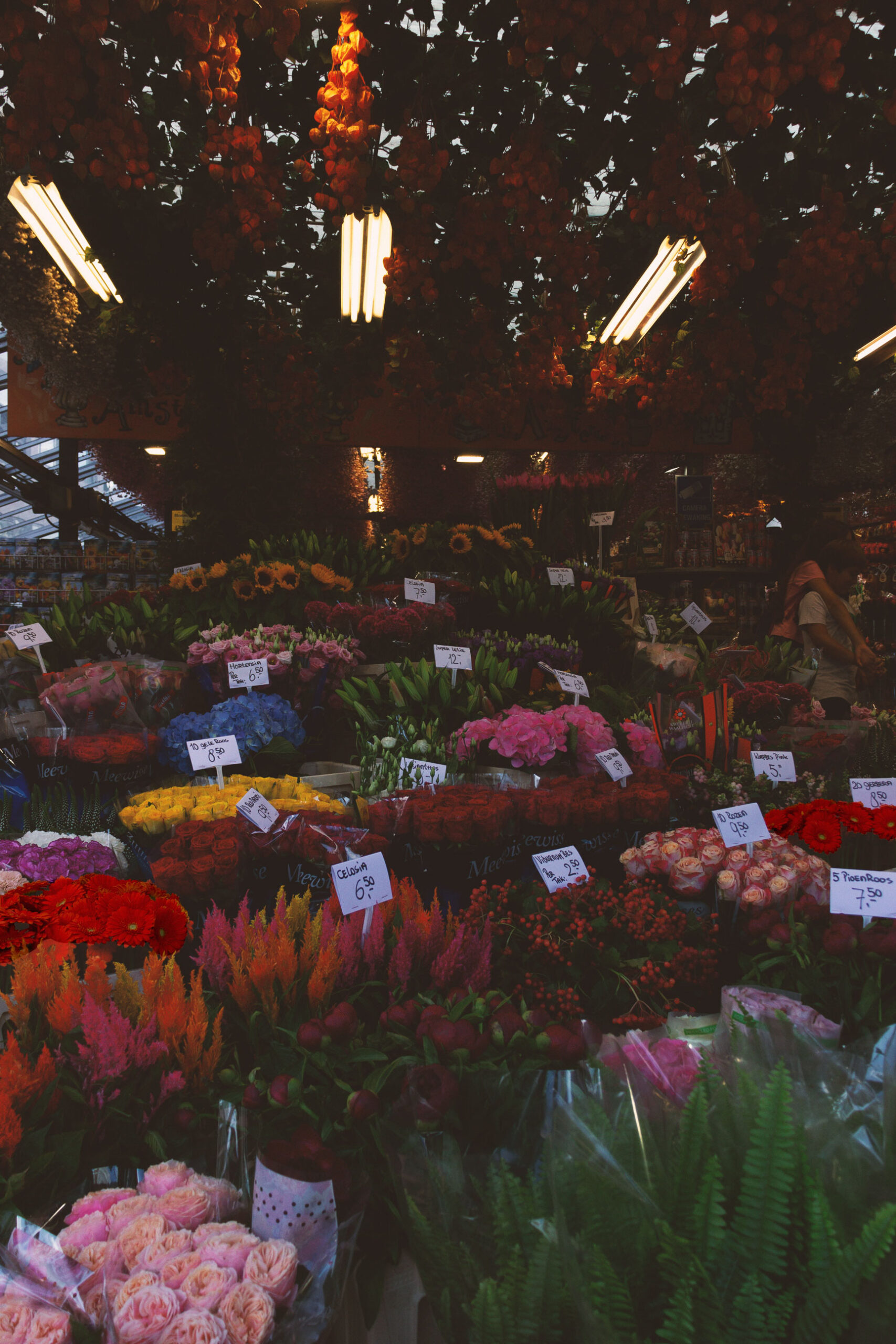 Amsterdam Flowermarket